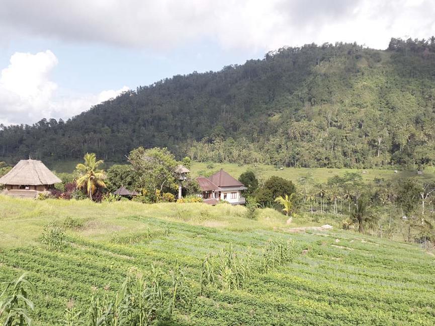 Embang Homestay Sidemen  Extérieur photo