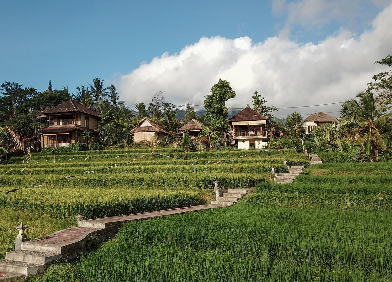 Embang Homestay Sidemen  Extérieur photo